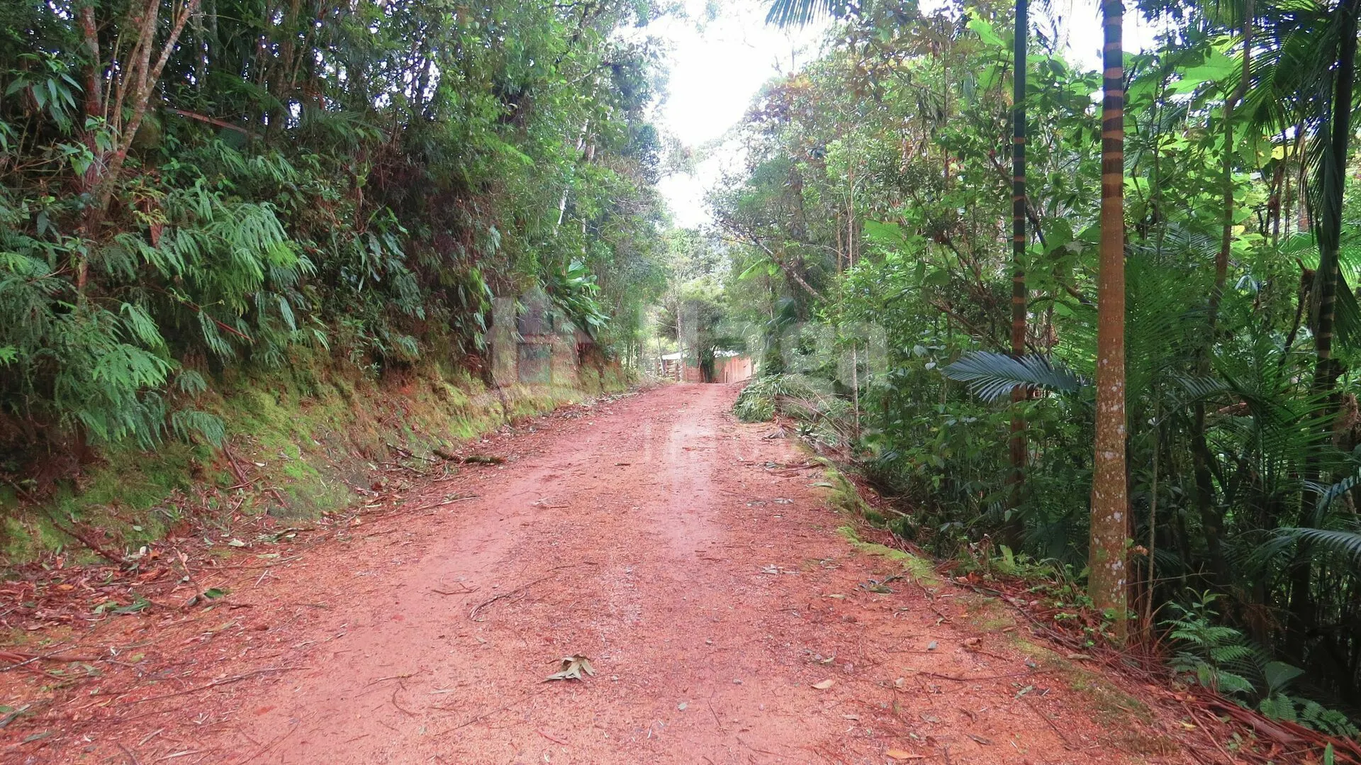 Chácara à venda de 21 ha em Guabiruba, SC, Brasil