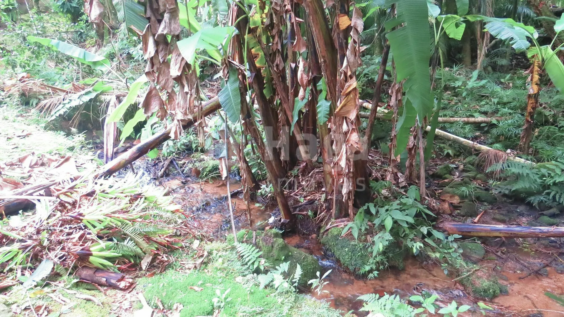 Chácara à venda de 21 ha em Guabiruba, SC, Brasil