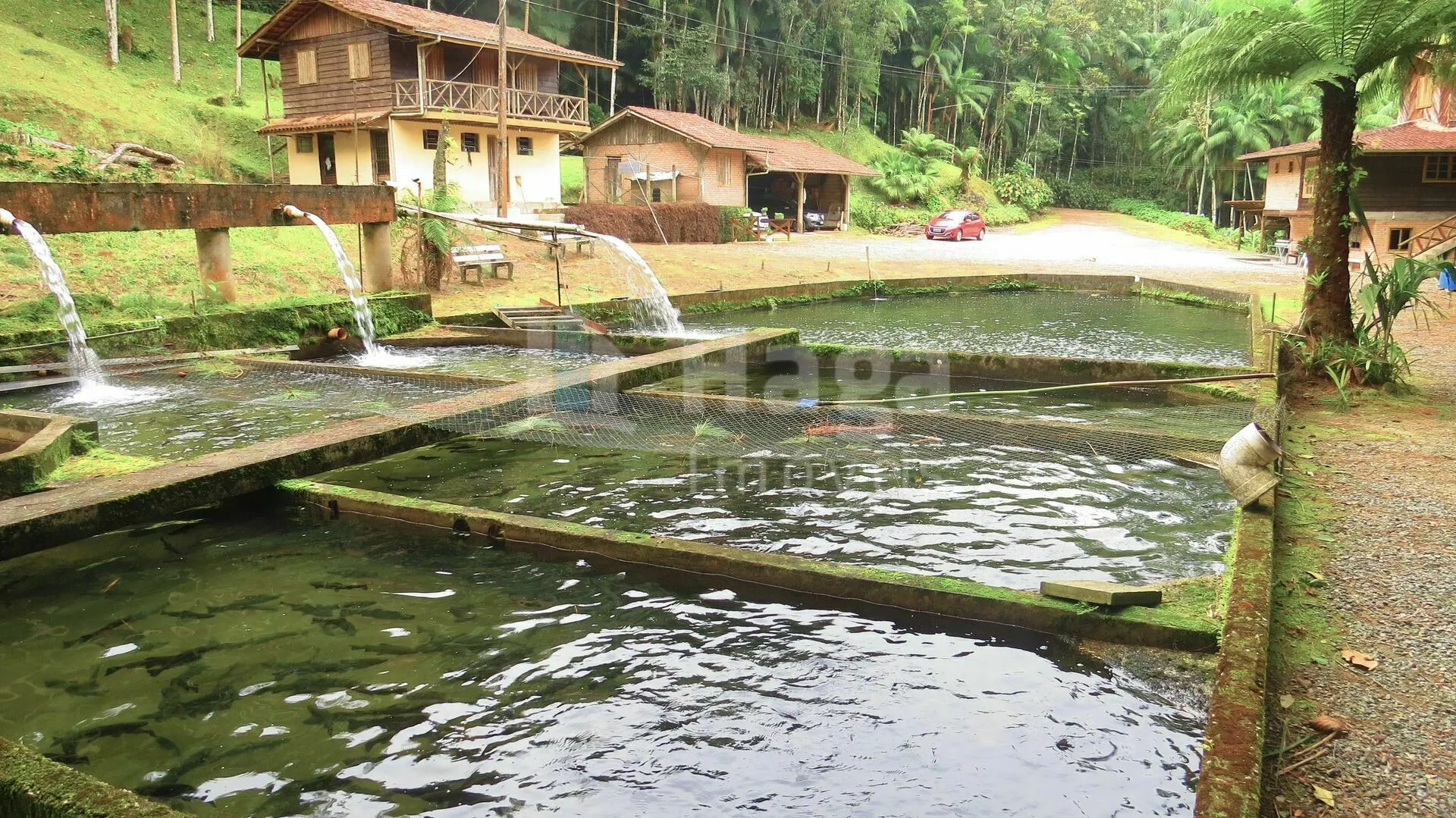 Chácara à venda de 21 ha em Guabiruba, SC, Brasil