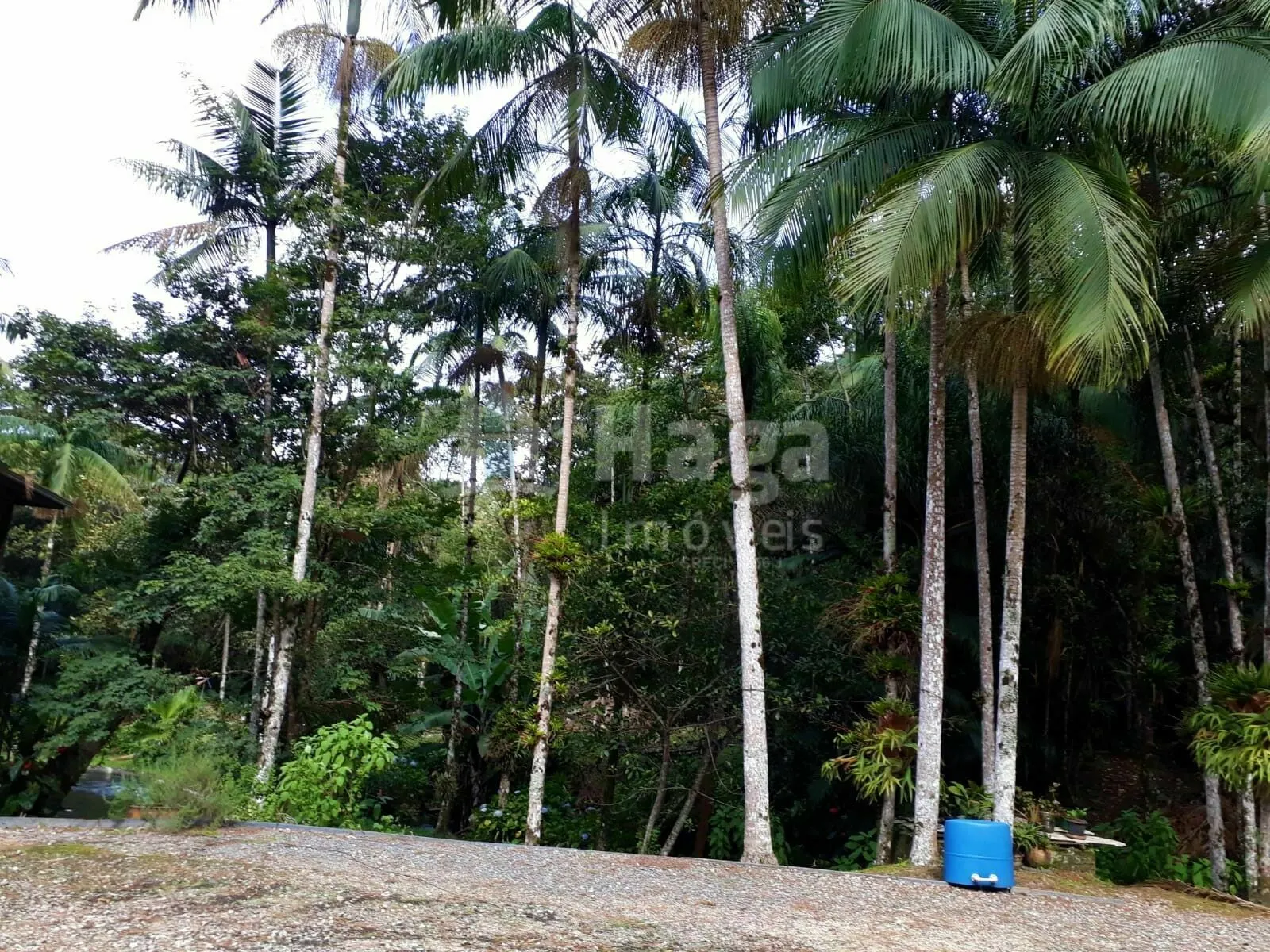 Chácara à venda de 21 ha em Guabiruba, SC, Brasil