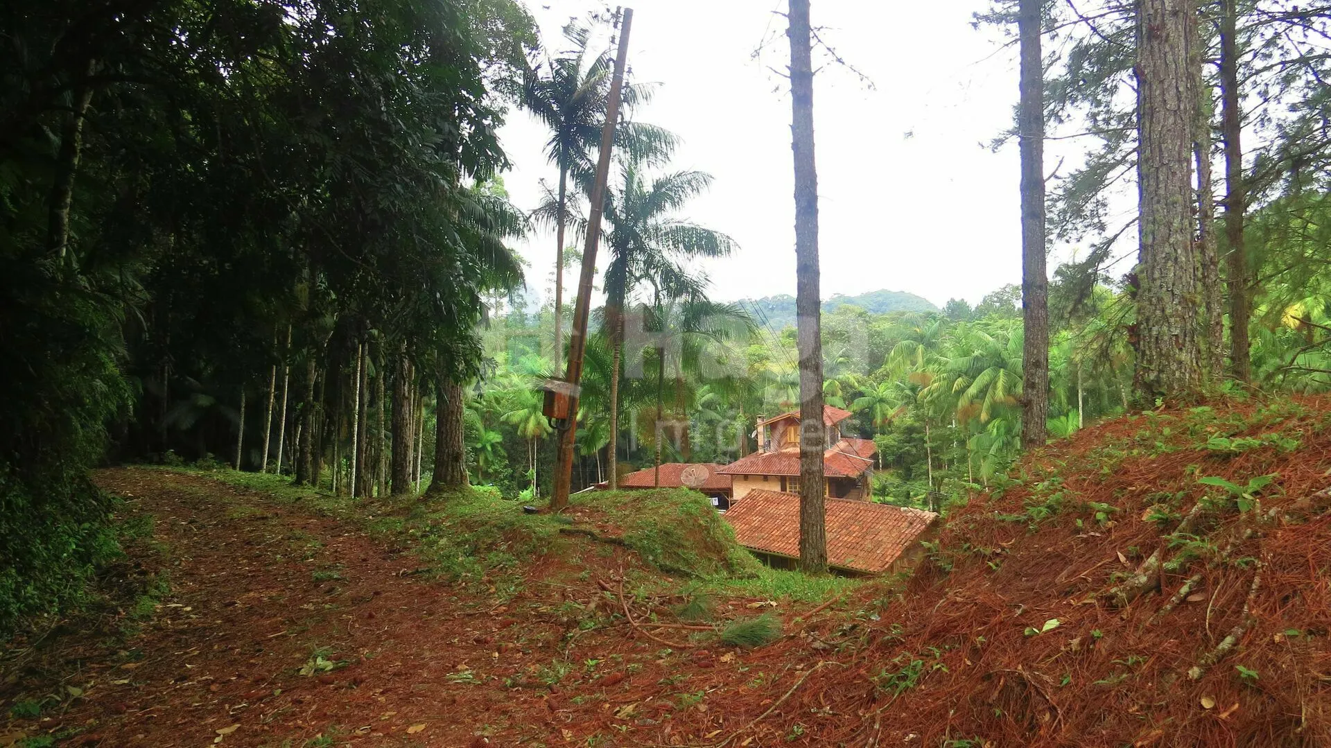Chácara à venda de 21 ha em Guabiruba, SC, Brasil