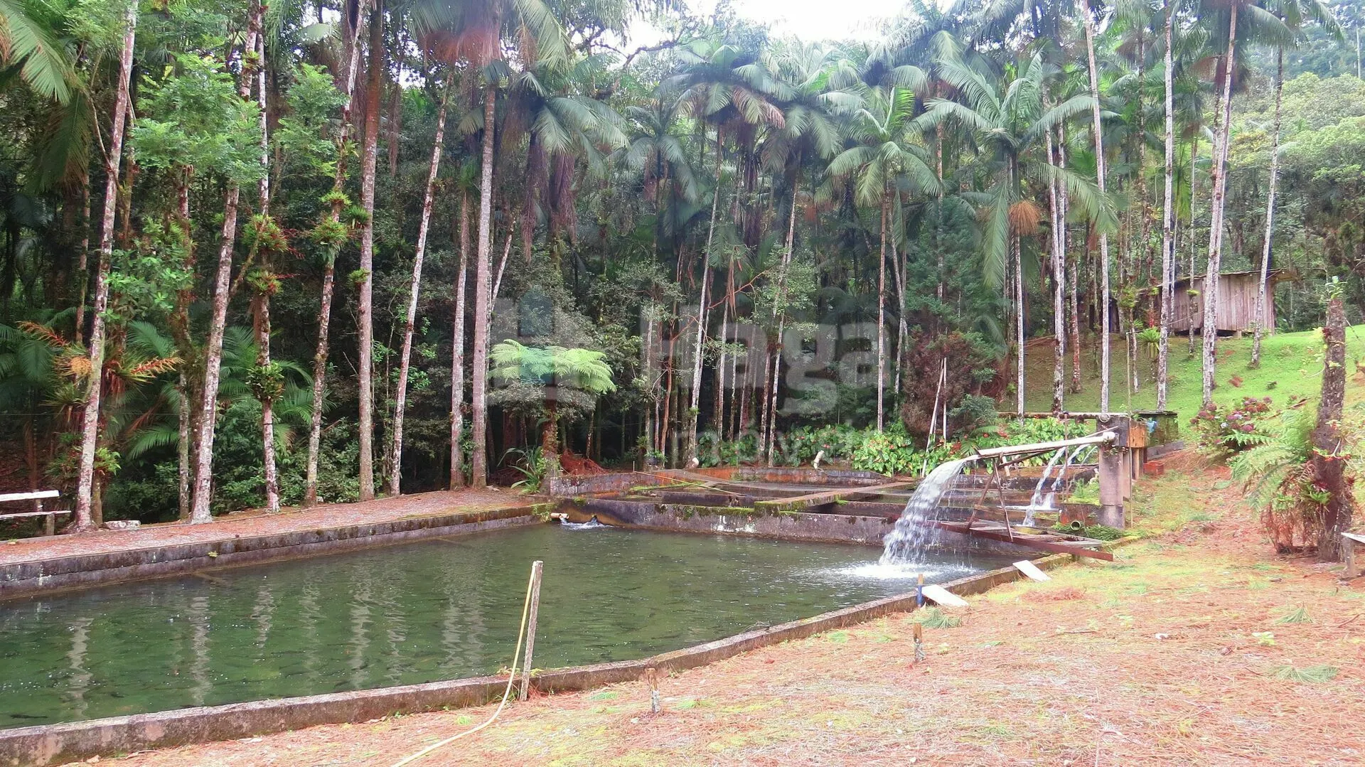 Chácara à venda de 21 ha em Guabiruba, SC, Brasil