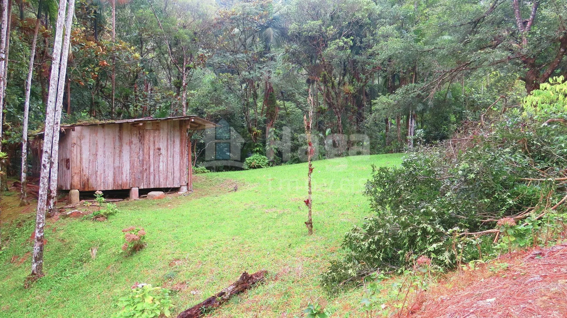 Chácara à venda de 21 ha em Guabiruba, SC, Brasil