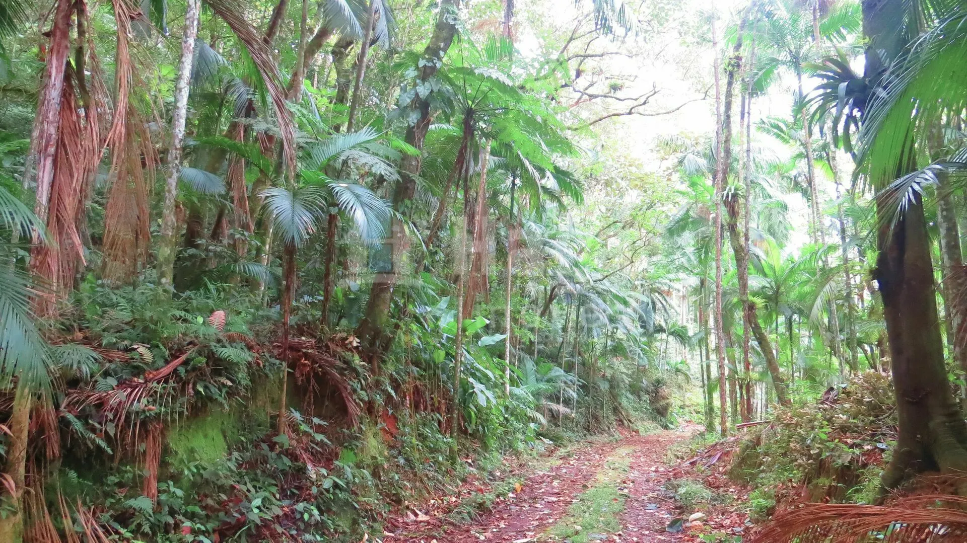 Chácara à venda de 21 ha em Guabiruba, SC, Brasil
