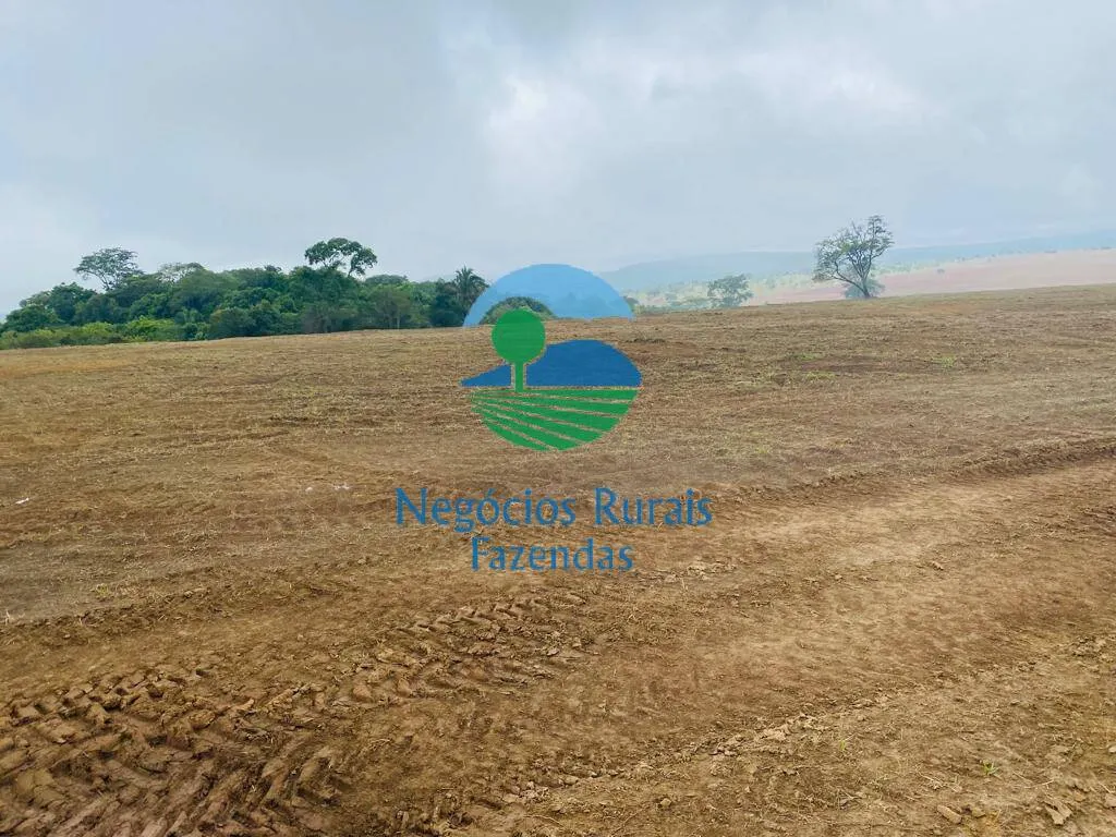 Fazenda à venda de 193 ha em Cocalzinho de Goiás, GO, Brasil