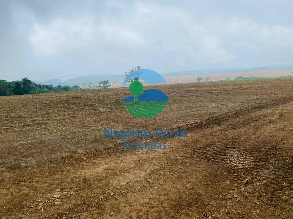 Fazenda à venda de 193 ha em Cocalzinho de Goiás, GO, Brasil