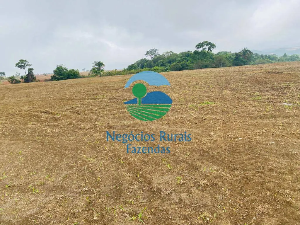 Fazenda à venda de 193 ha em Cocalzinho de Goiás, GO, Brasil