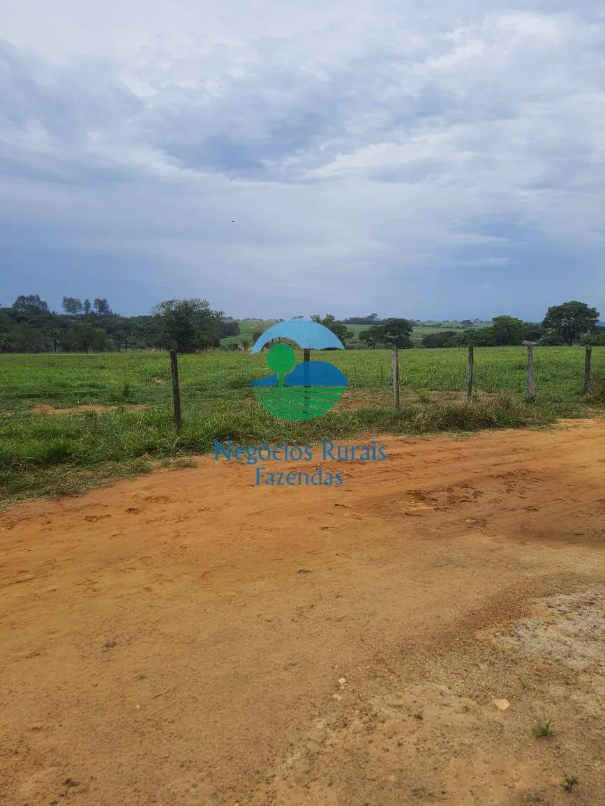 Fazenda à venda de 193 ha em Cocalzinho de Goiás, GO, Brasil
