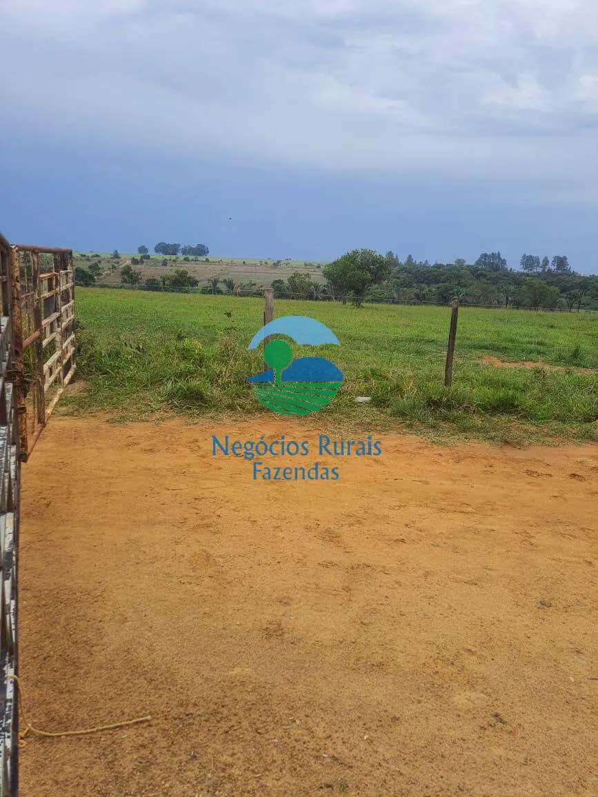 Fazenda à venda de 193 ha em Cocalzinho de Goiás, GO, Brasil