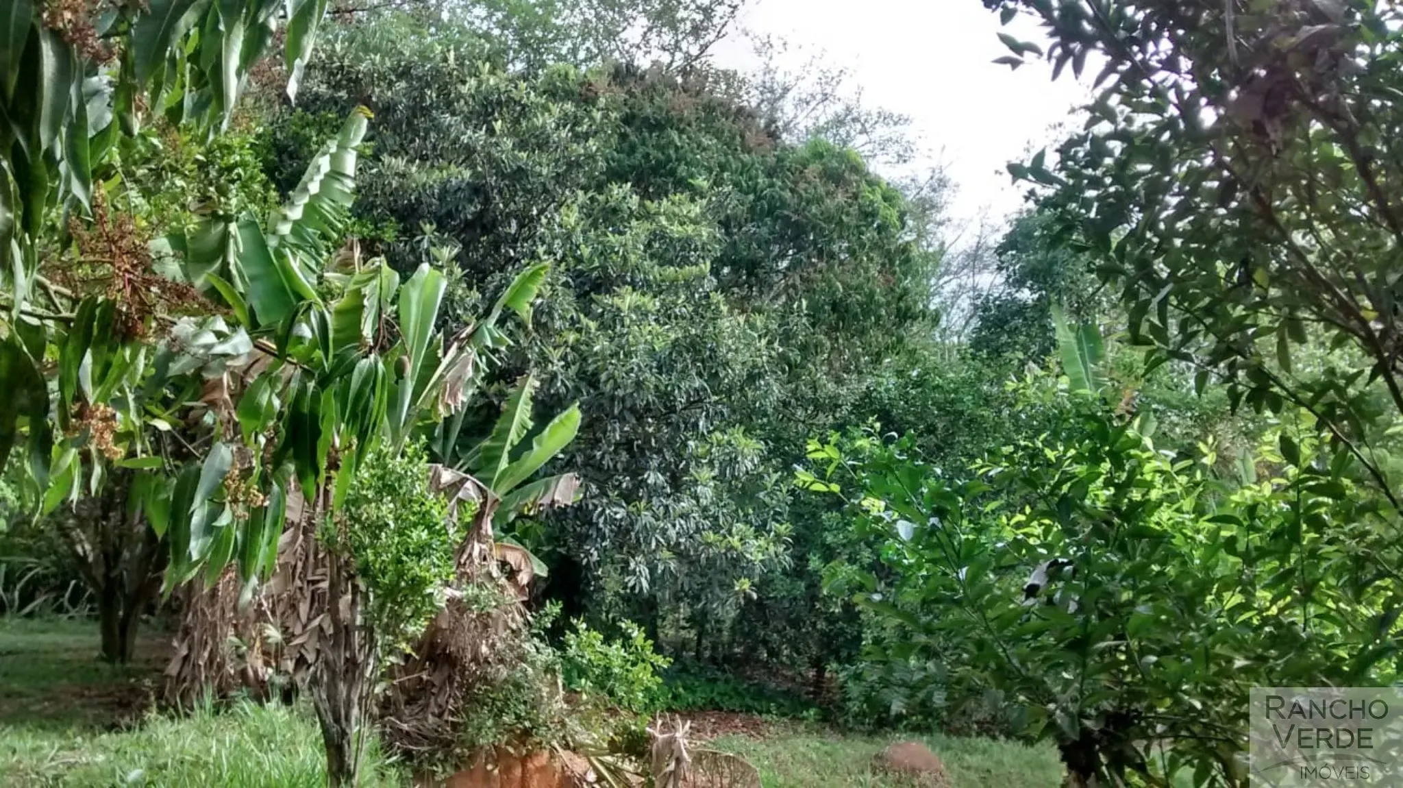 Country home for sale of 1 acres in São José dos Campos, SP, Brazil