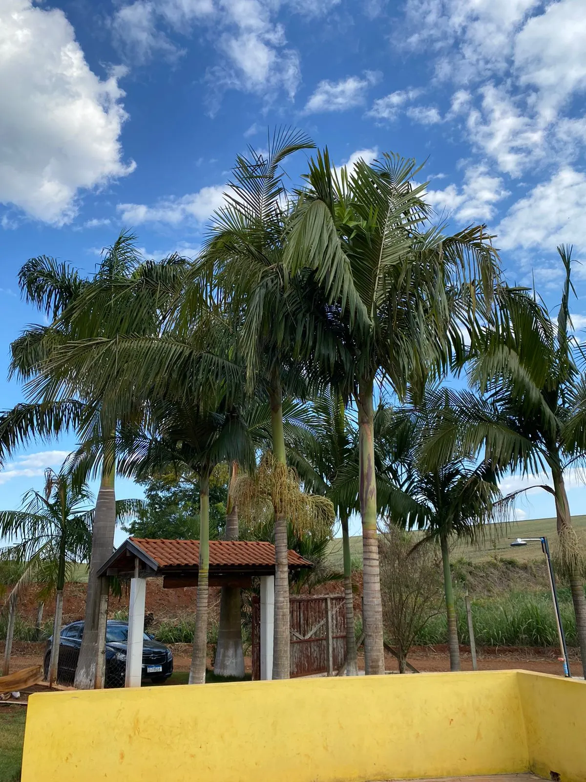 Chácara à venda de 635 m² em Fartura, SP, Brasil