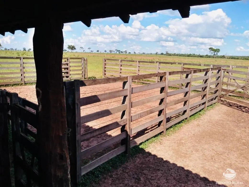 Fazenda à venda de 765 ha em Chapadão do Sul, MS, Brasil