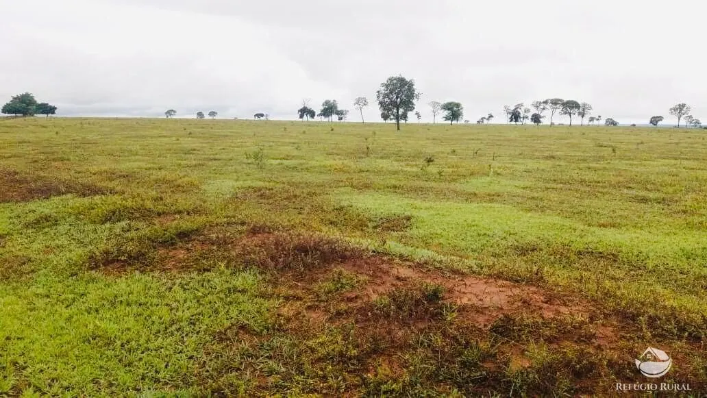 Fazenda à venda de 765 ha em Chapadão do Sul, MS, Brasil