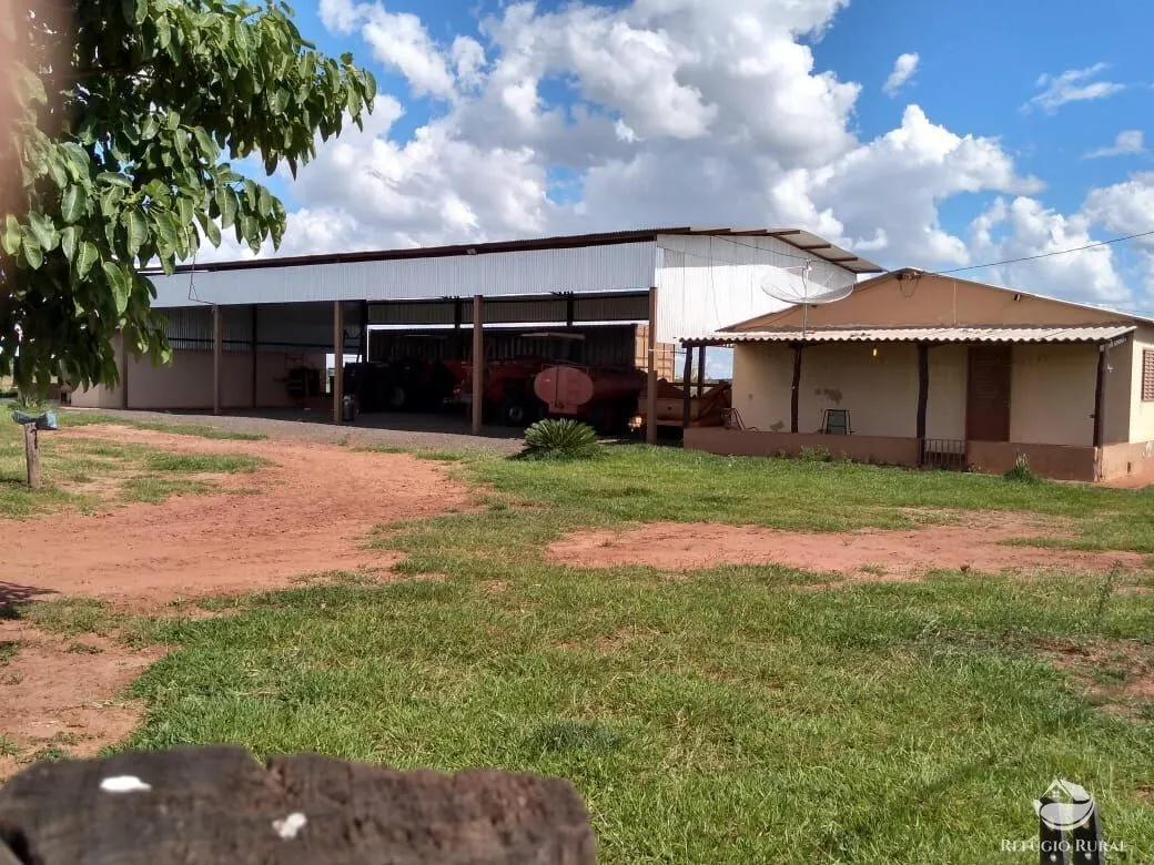 Fazenda à venda de 765 ha em Chapadão do Sul, MS, Brasil