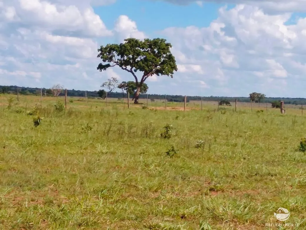 Fazenda à venda de 765 ha em Chapadão do Sul, MS, Brasil