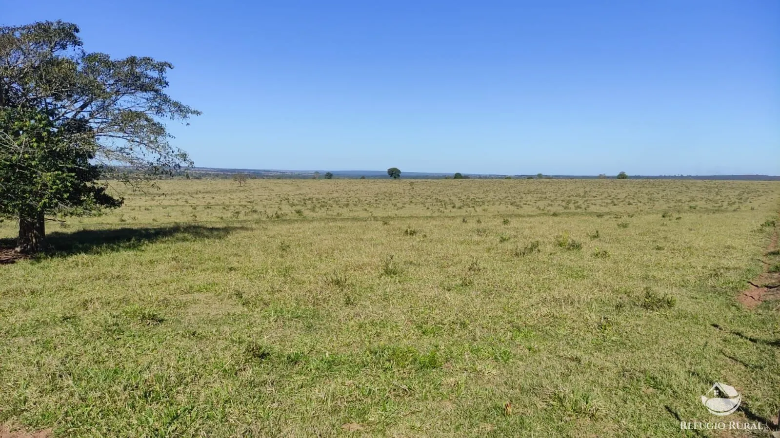 Fazenda à venda de 765 ha em Chapadão do Sul, MS, Brasil