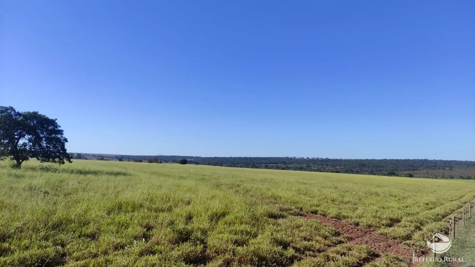 Fazenda à venda de 765 ha em Chapadão do Sul, MS, Brasil