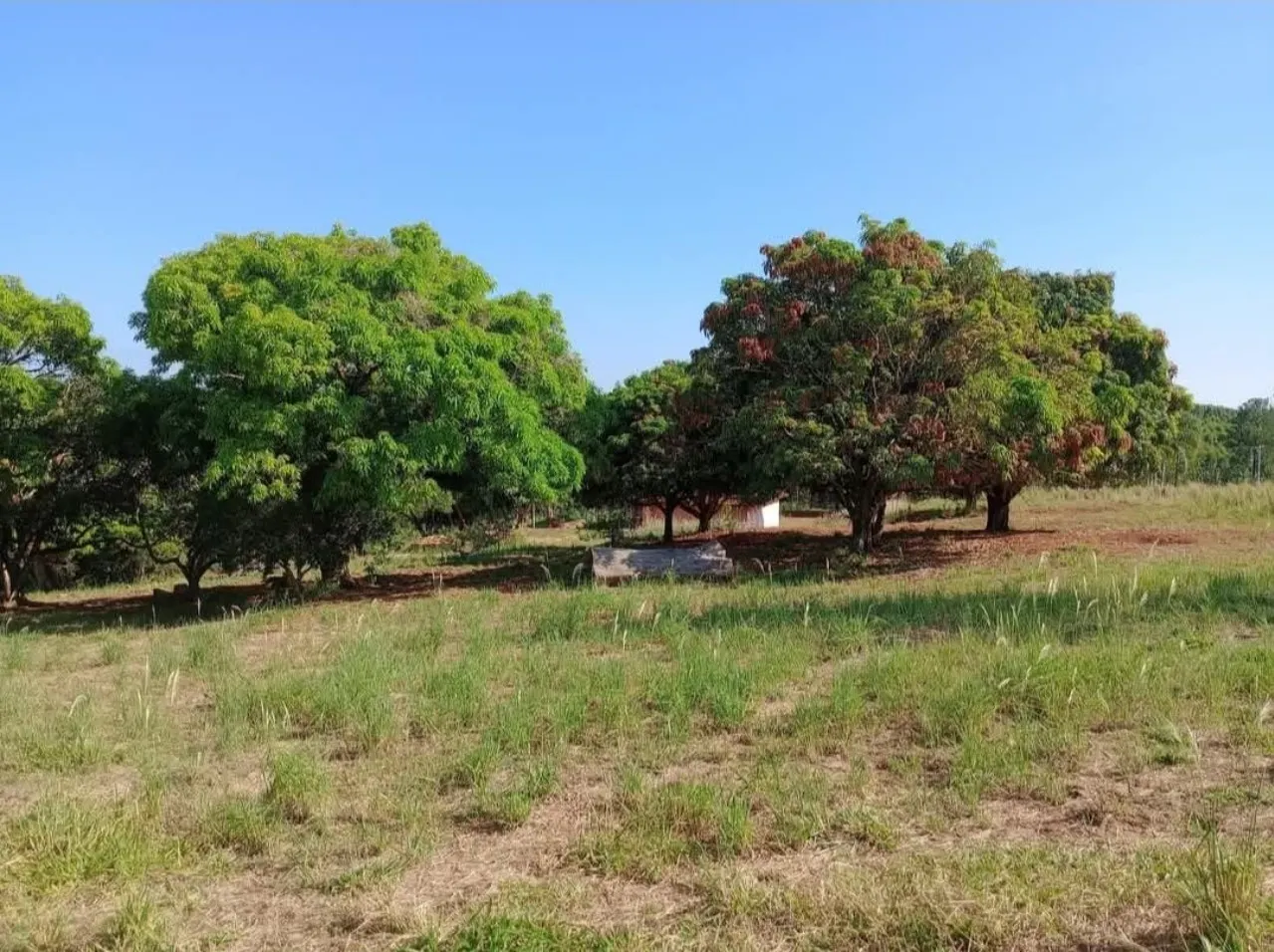 Fazenda à venda de 12 ha em Pilar do Sul, SP, Brasil