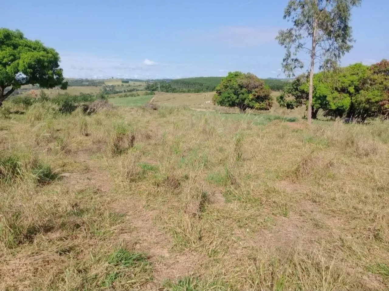 Fazenda à venda de 12 ha em Pilar do Sul, SP, Brasil