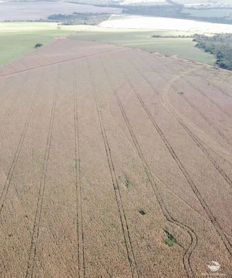 Fazenda à venda de 1.470 ha em Paracatu, MG, Brasil