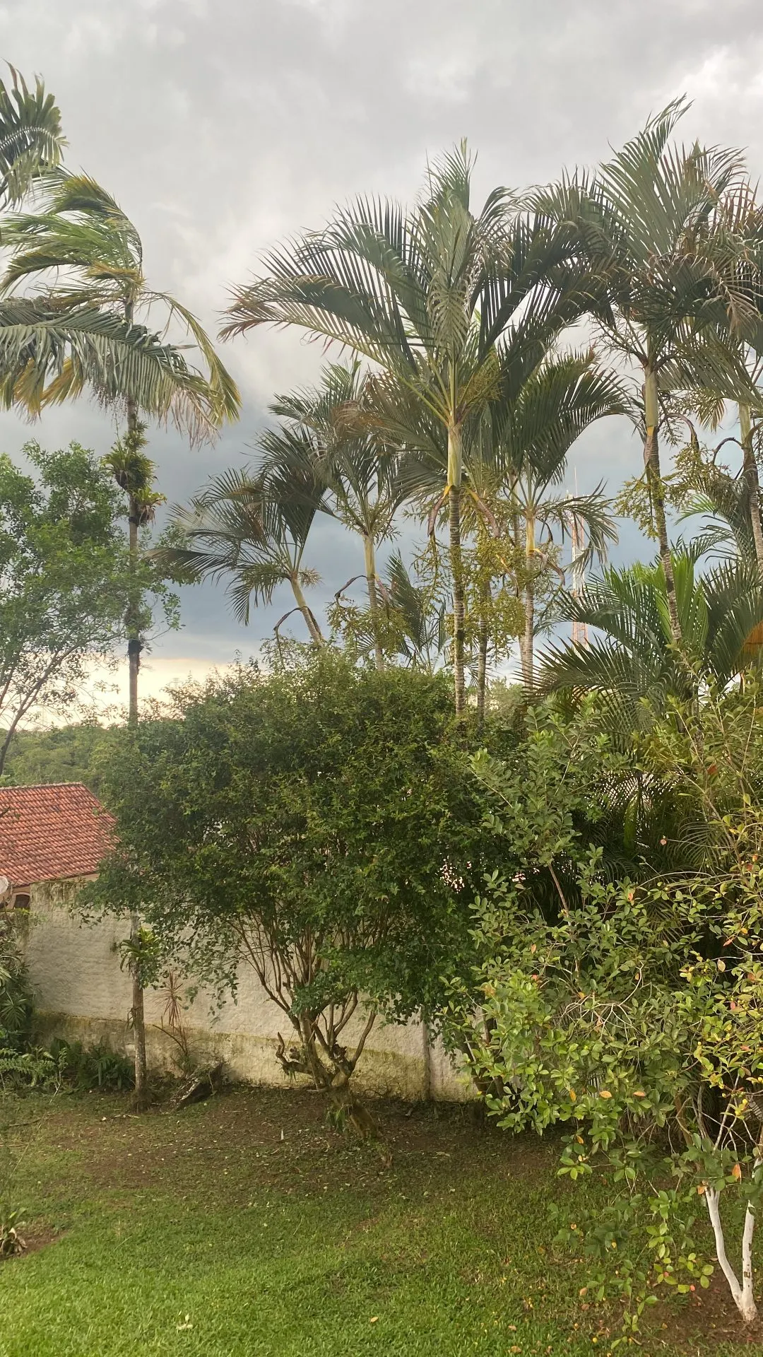 Fazenda à venda de 218 ha em Eldorado, SP, Brasil