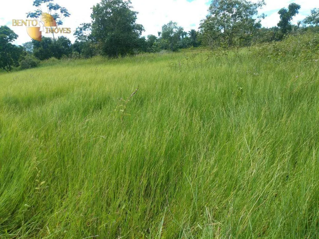 Fazenda à venda de 1.600 ha em Várzea Grande, MT, Brasil