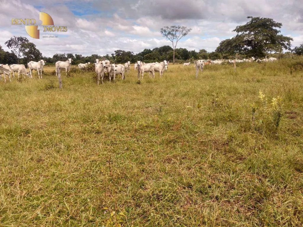 Fazenda à venda de 1.600 ha em Várzea Grande, MT, Brasil