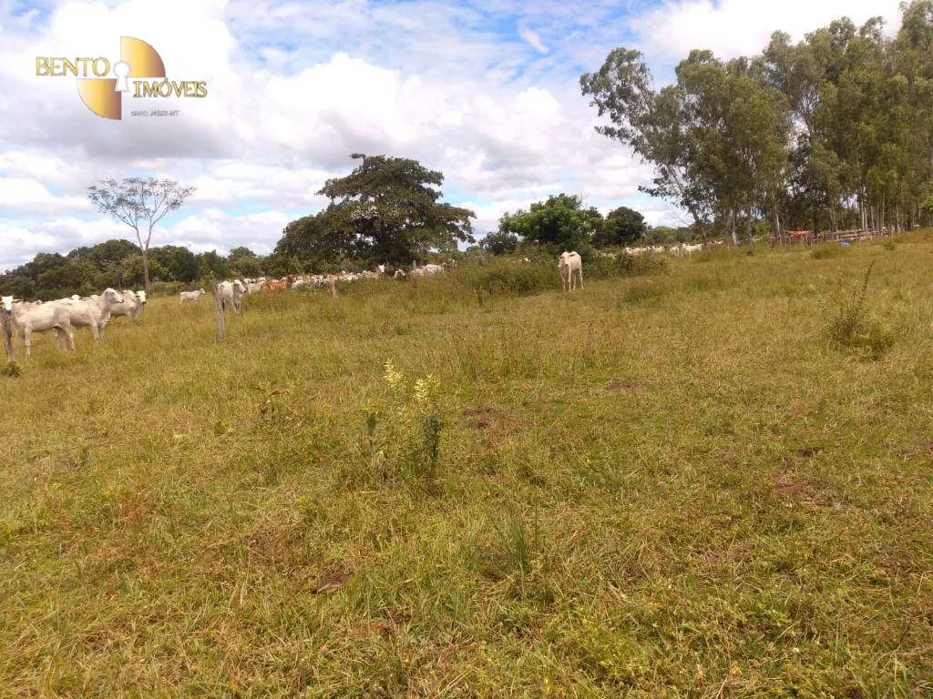 Fazenda à venda de 1.600 ha em Várzea Grande, MT, Brasil