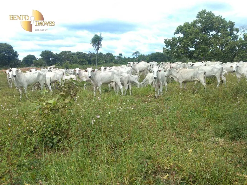 Fazenda à venda de 1.600 ha em Várzea Grande, MT, Brasil