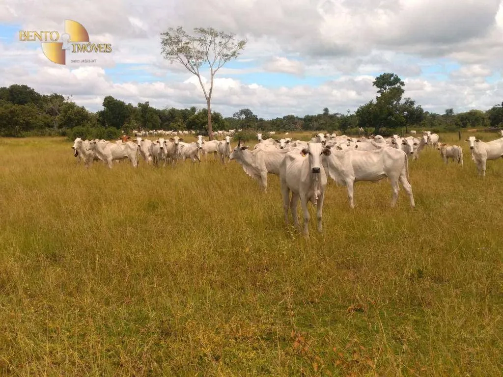 Fazenda à venda de 1.600 ha em Várzea Grande, MT, Brasil