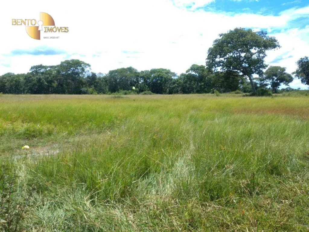 Fazenda à venda de 1.600 ha em Várzea Grande, MT, Brasil
