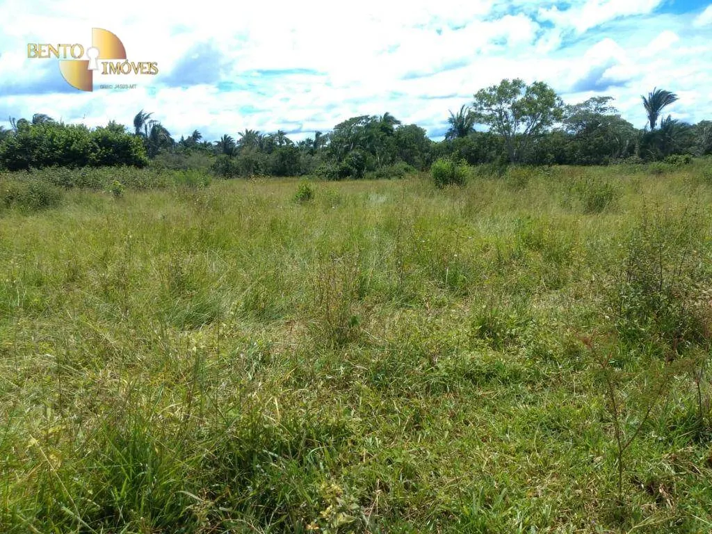 Fazenda à venda de 1.600 ha em Várzea Grande, MT, Brasil