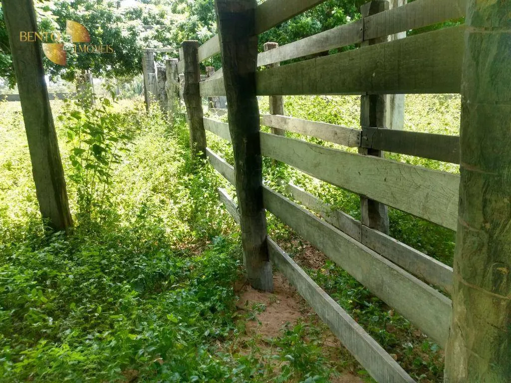 Fazenda à venda de 1.600 ha em Várzea Grande, MT, Brasil