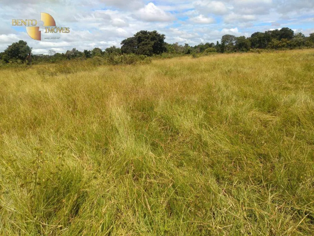 Fazenda à venda de 1.600 ha em Várzea Grande, MT, Brasil