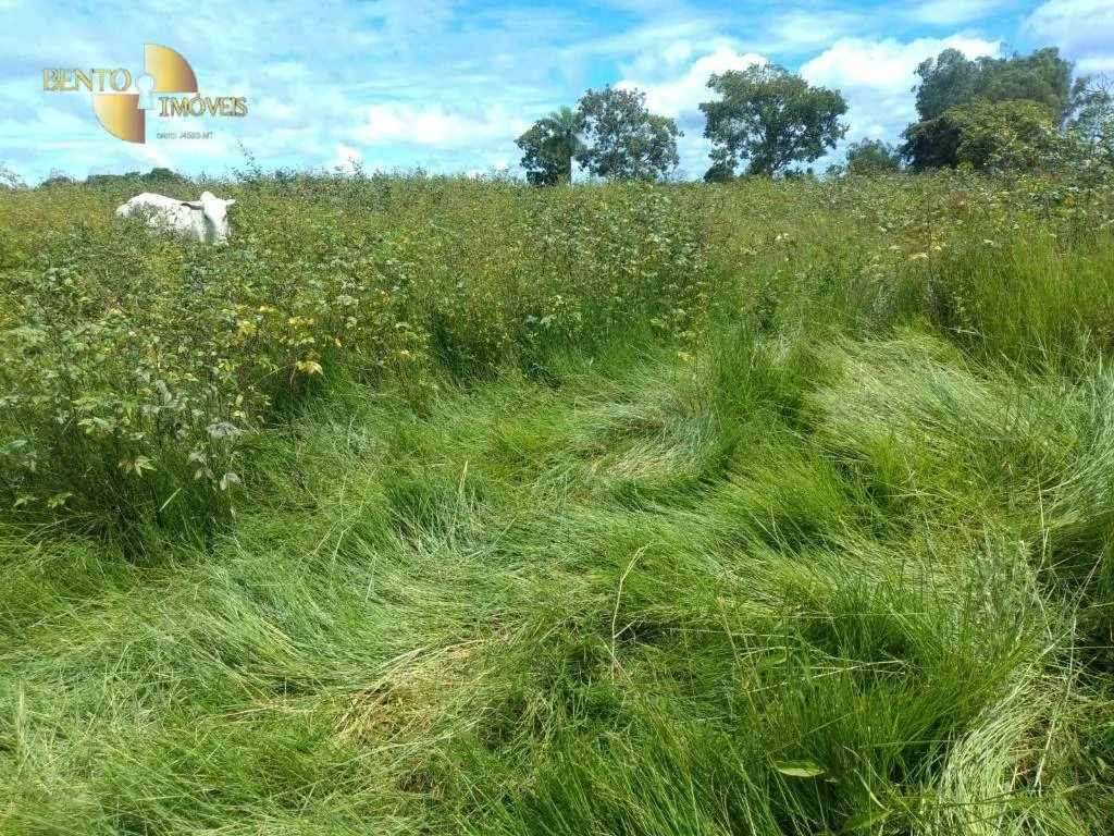 Fazenda à venda de 1.600 ha em Várzea Grande, MT, Brasil