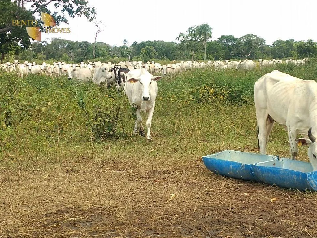 Fazenda à venda de 1.600 ha em Várzea Grande, MT, Brasil