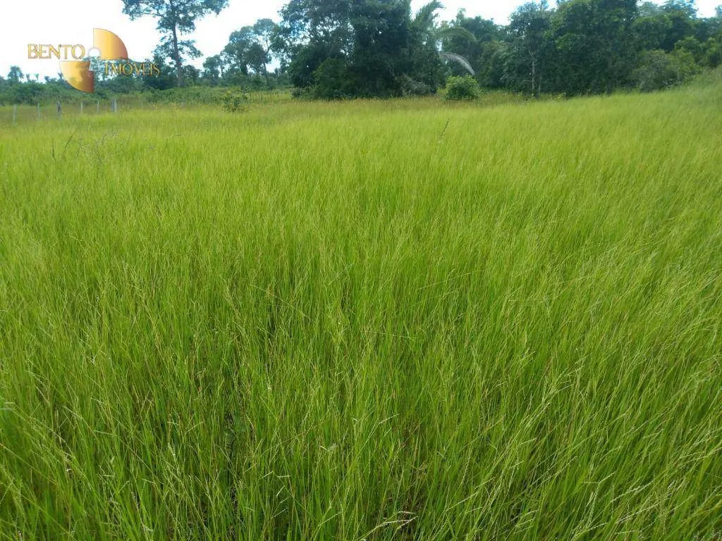 Fazenda à venda de 1.600 ha em Várzea Grande, MT, Brasil