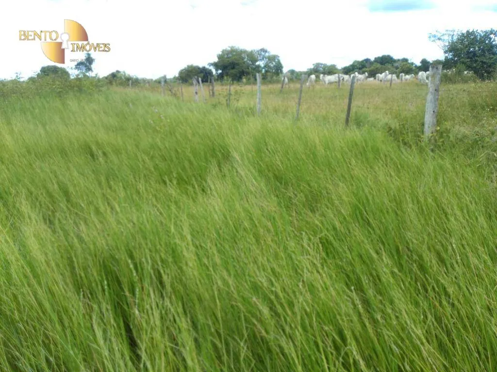 Fazenda à venda de 1.600 ha em Várzea Grande, MT, Brasil