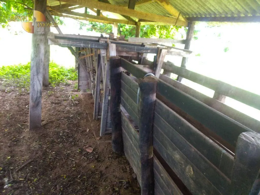 Fazenda à venda de 1.600 ha em Várzea Grande, MT, Brasil