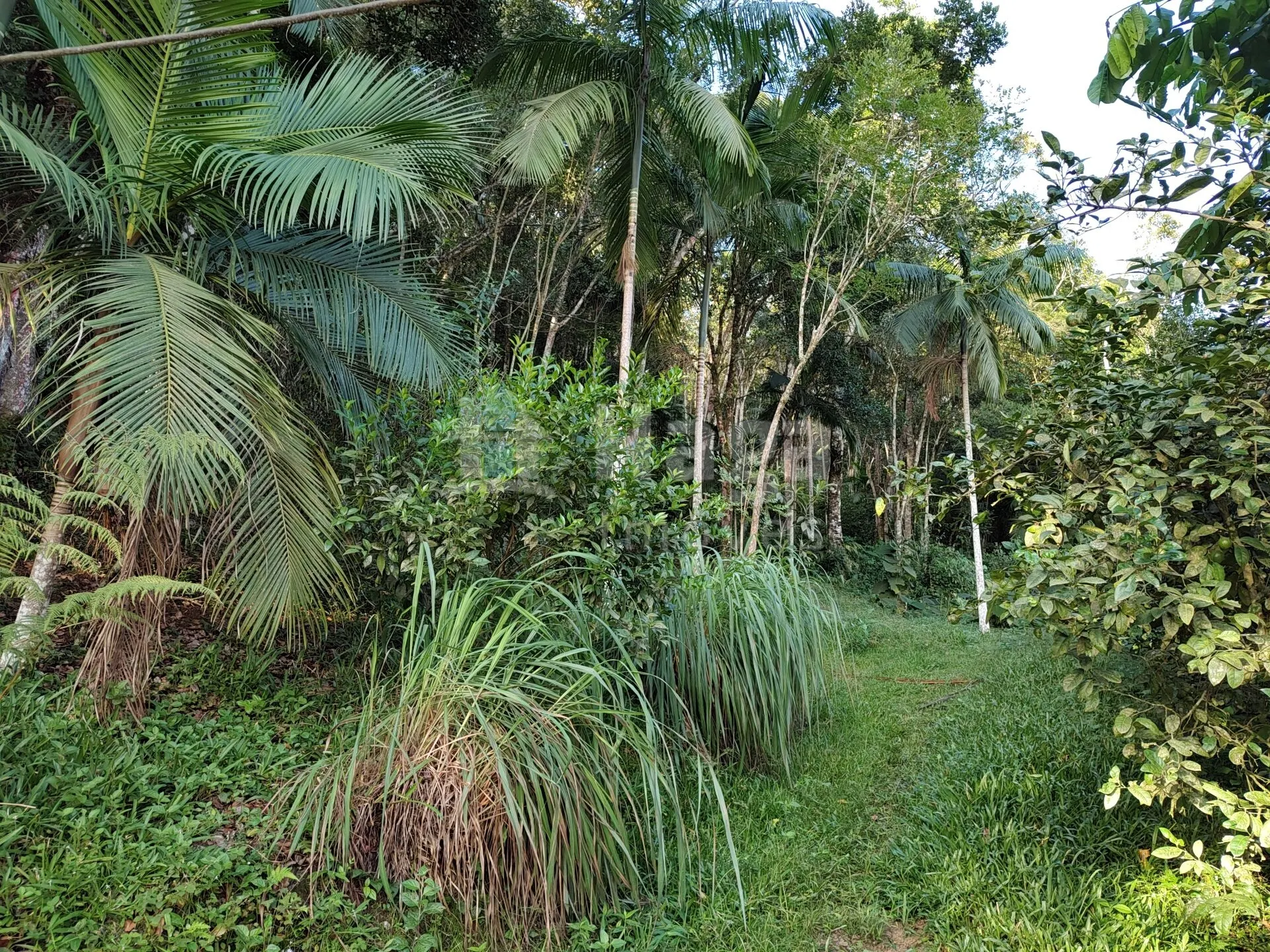 Fazenda à venda de 1 ha em Itajaí, SC, Brasil