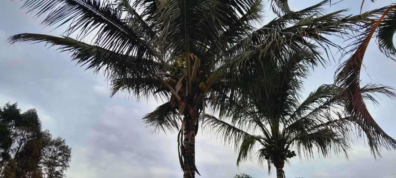 Country home for sale of 1 acres in Boituva, SP, Brazil