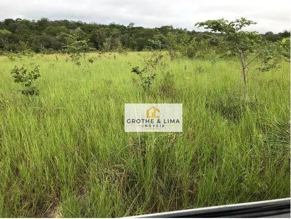 Fazenda à venda de 5.038 ha em Recursolândia, TO, Brasil