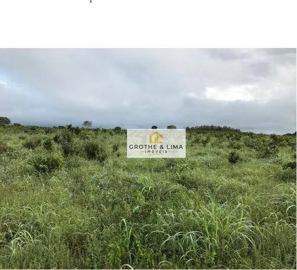 Fazenda à venda de 5.038 ha em Recursolândia, TO, Brasil