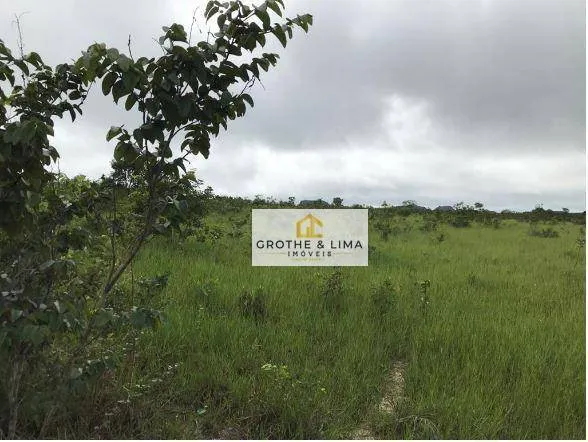 Fazenda à venda de 5.038 ha em Recursolândia, TO, Brasil