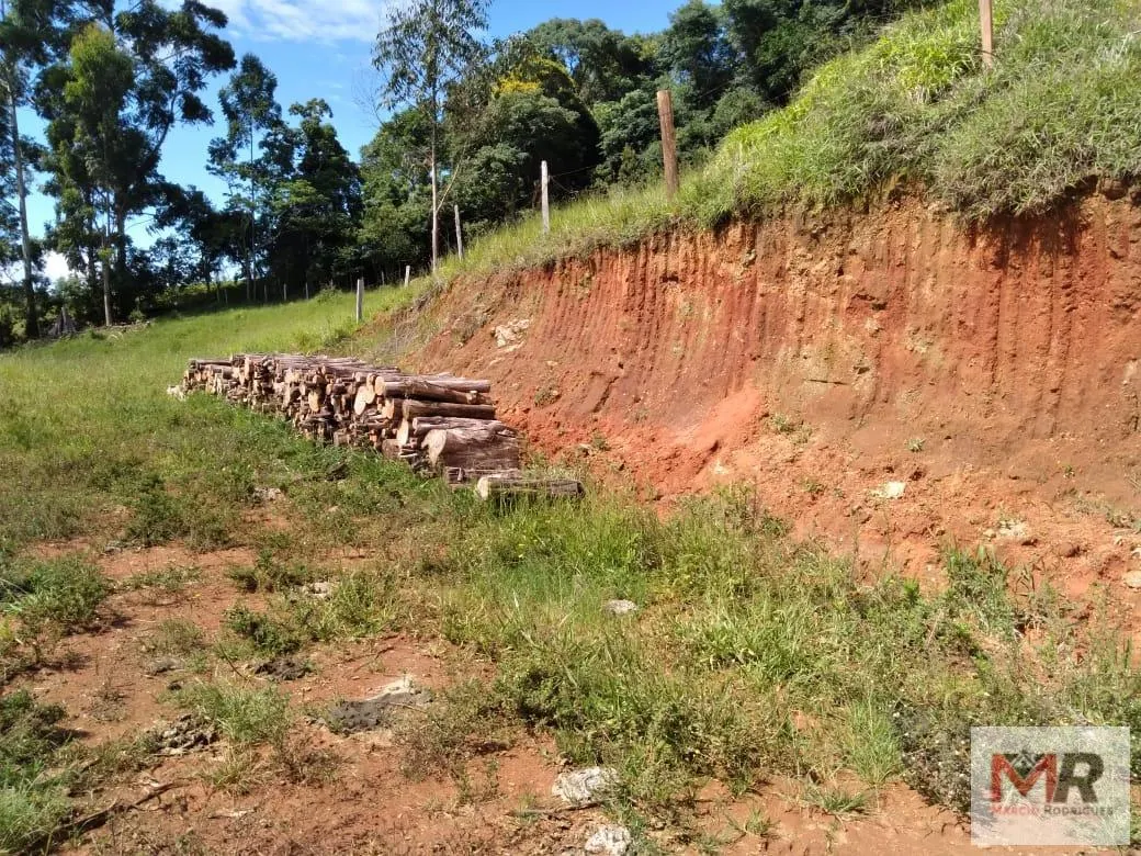 Sítio à venda de 2 ha em Toledo, MG, Brasil