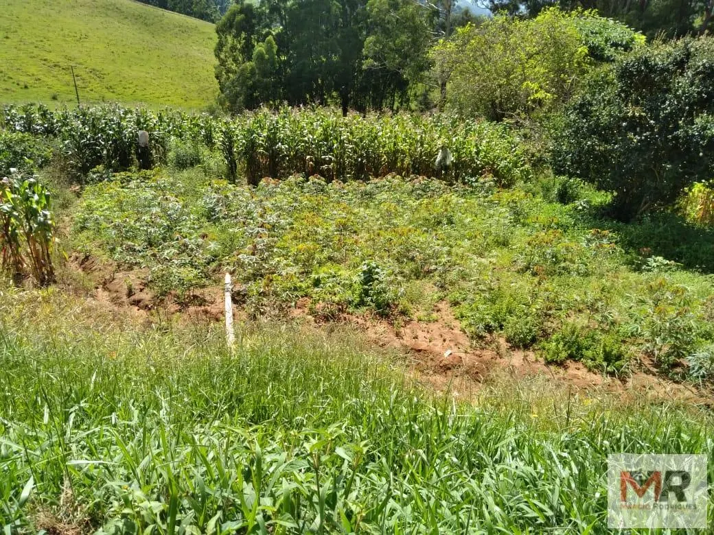 Sítio à venda de 2 ha em Toledo, MG, Brasil