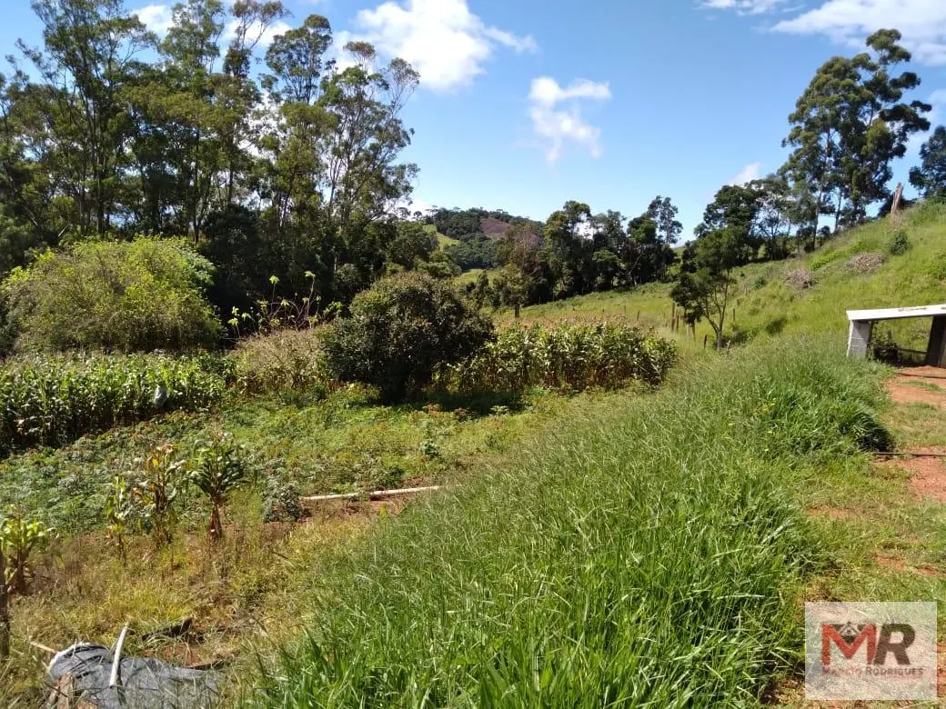 Sítio à venda de 2 ha em Toledo, MG, Brasil