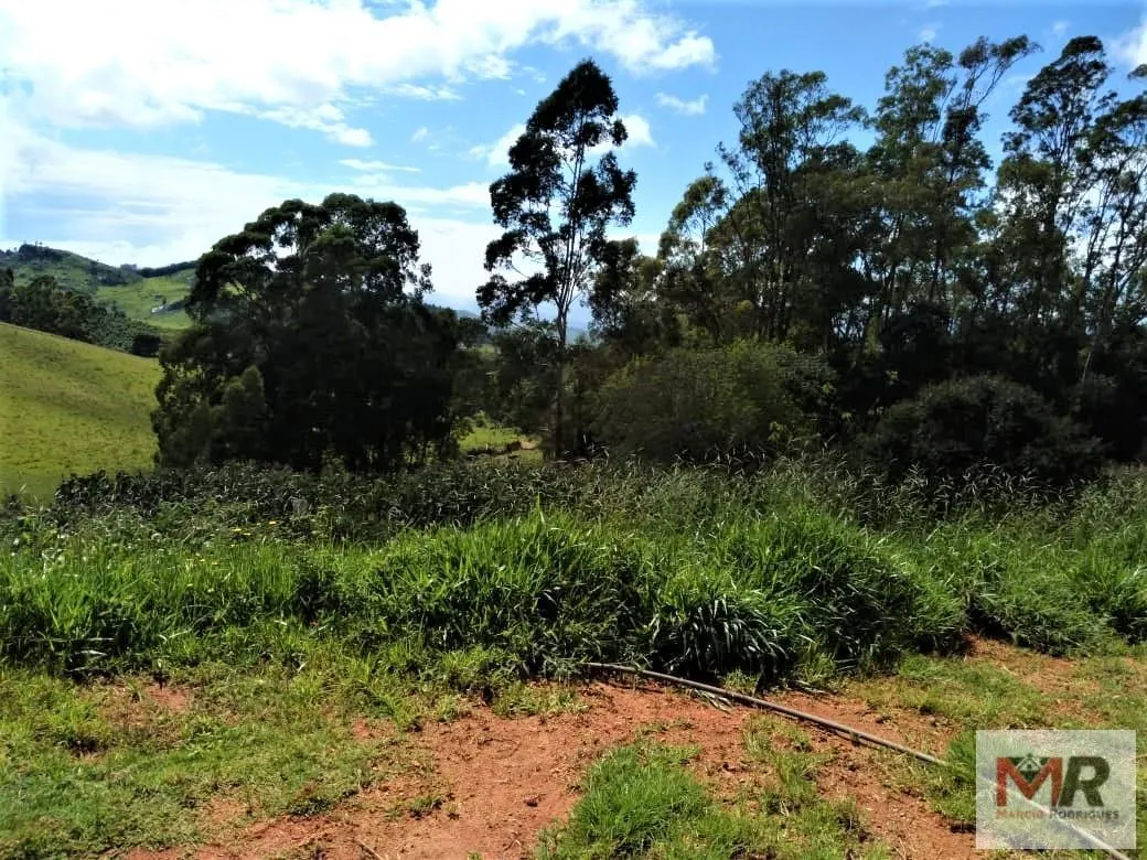 Sítio à venda de 2 ha em Toledo, MG, Brasil