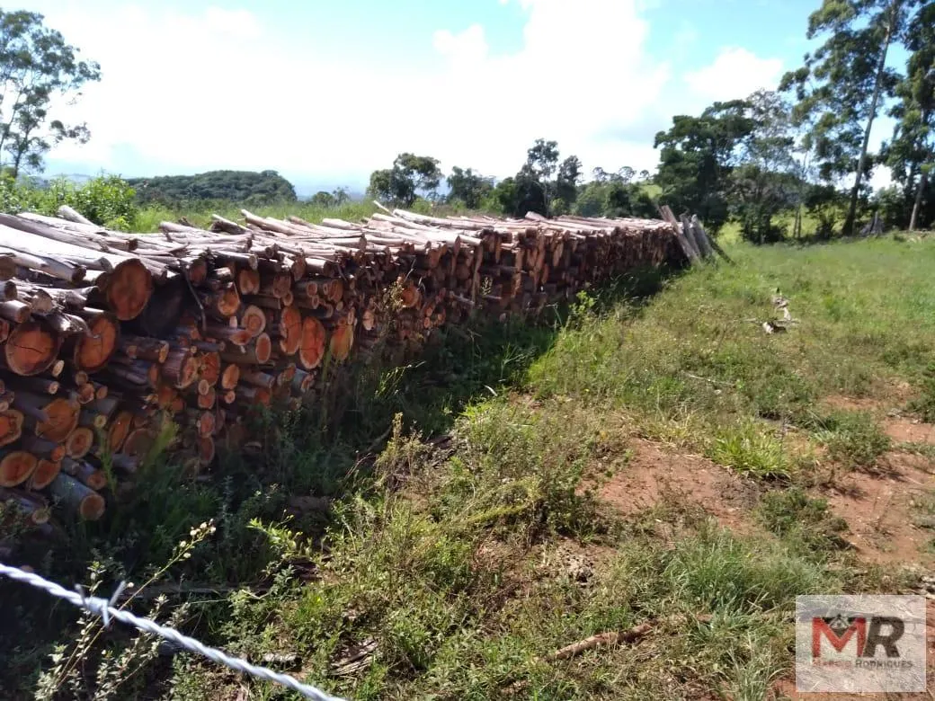 Sítio à venda de 2 ha em Toledo, MG, Brasil