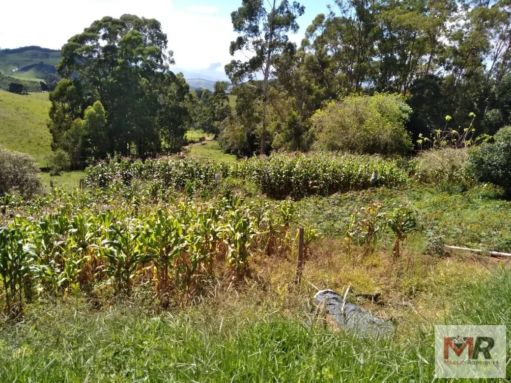 Sítio à venda de 2 ha em Toledo, MG, Brasil
